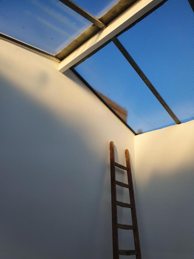 Bed Zonder Breakfast Apartment Amsterdam Bagian luar foto